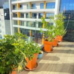 Appartement de Luxe A Louer – Avec Terrasse  – Malabata -Tanger