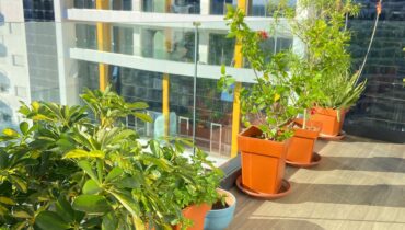 Appartement de Luxe A Louer – Avec Terrasse  – Malabata -Tanger